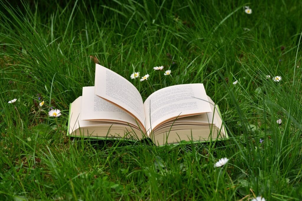 Tips for Success as a Book Reviewer